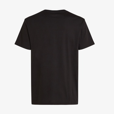  Calvin Klein Small Box Erkek Siyah T-Shirt