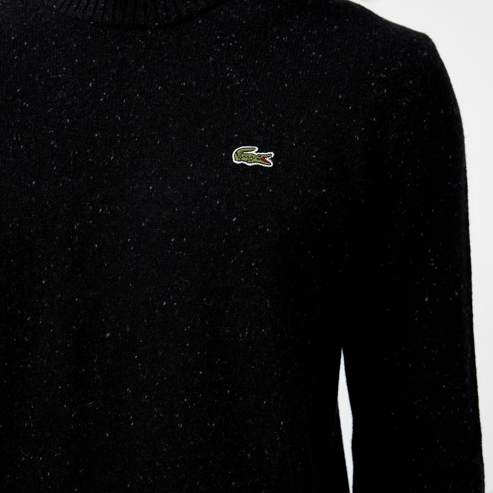 Erkek Regular Fit Bisiklet Yaka Siyah Triko