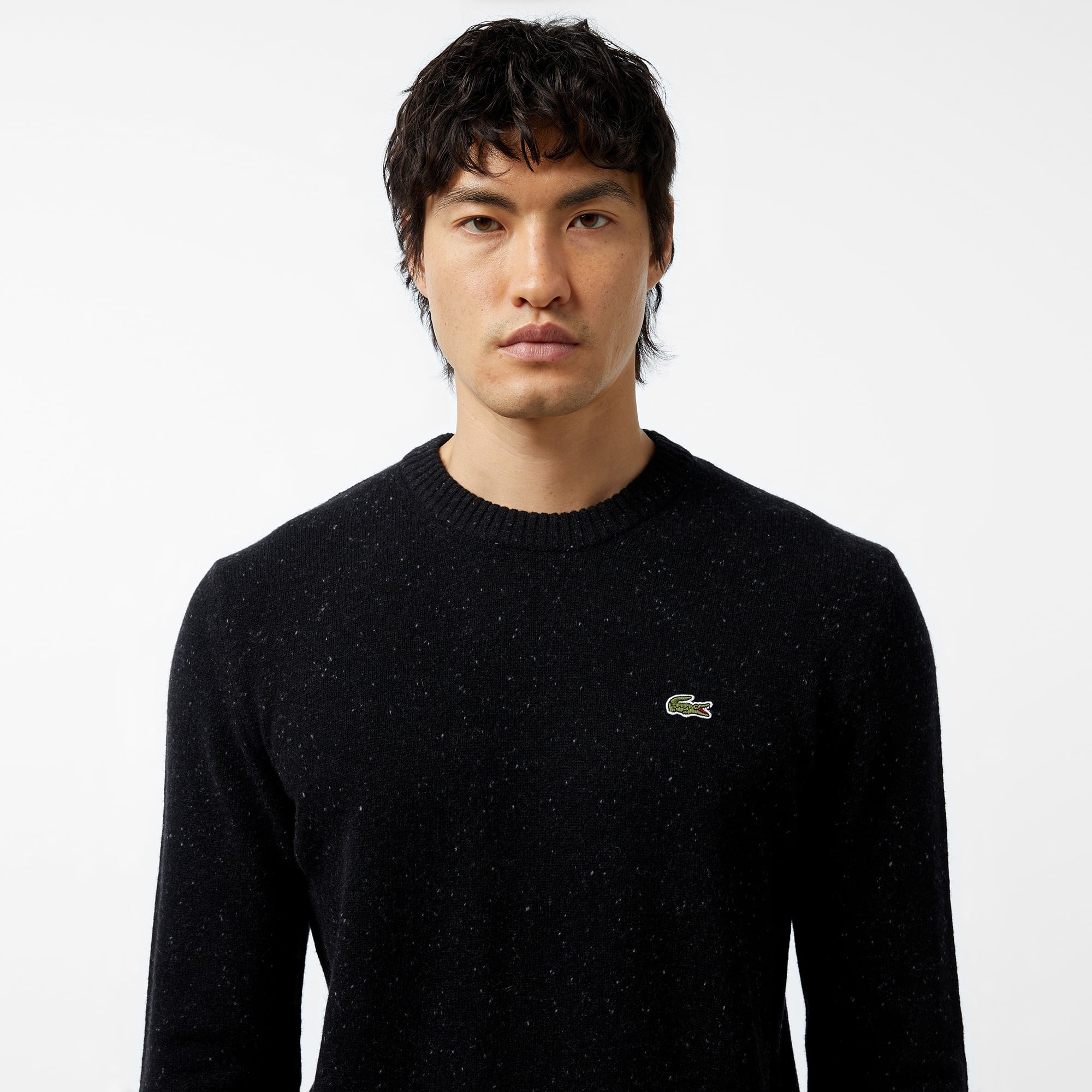 Erkek Regular Fit Bisiklet Yaka Siyah Triko