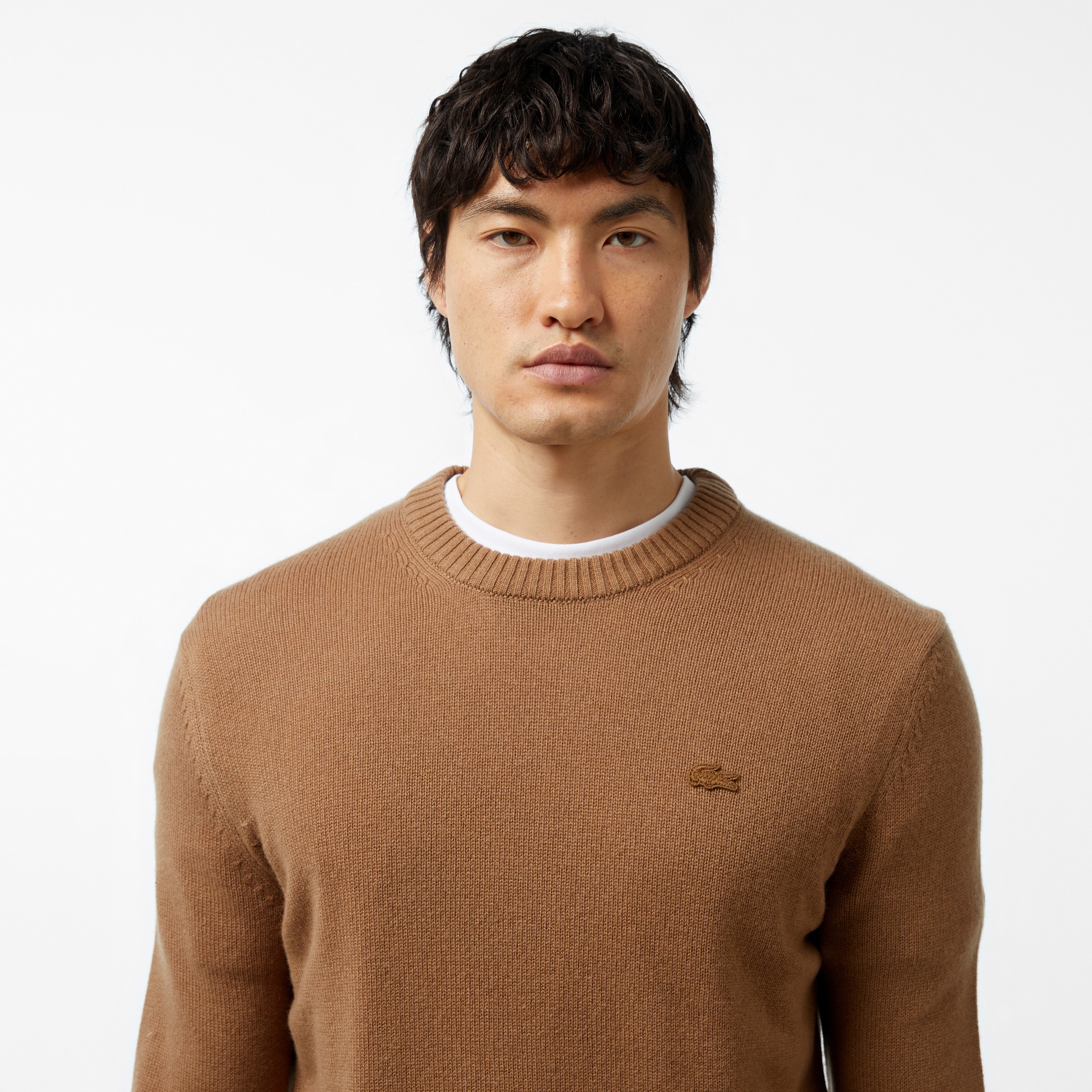 Erkek Regular Fit Bisiklet Yaka Kahverengi Triko