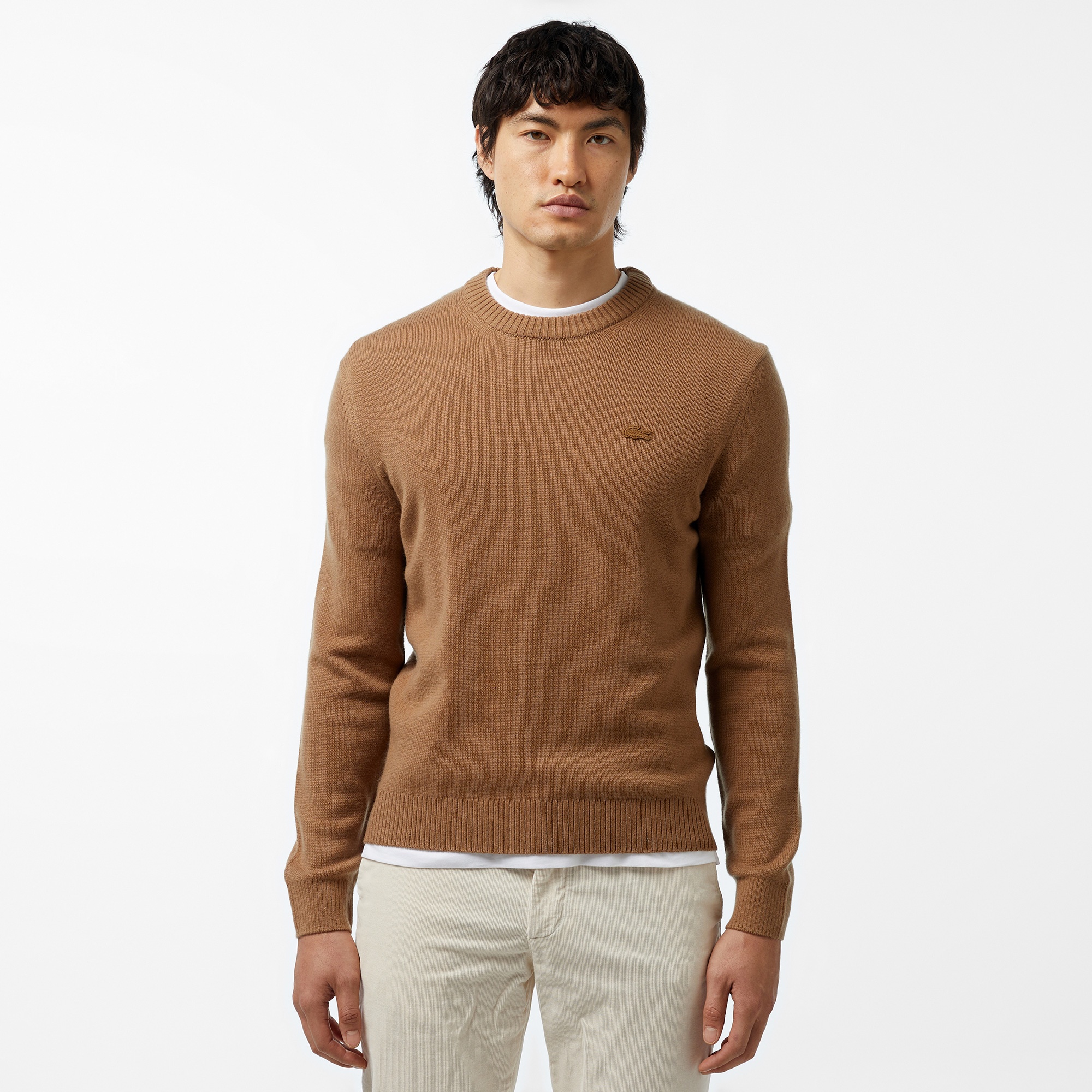 Erkek Regular Fit Bisiklet Yaka Kahverengi Triko