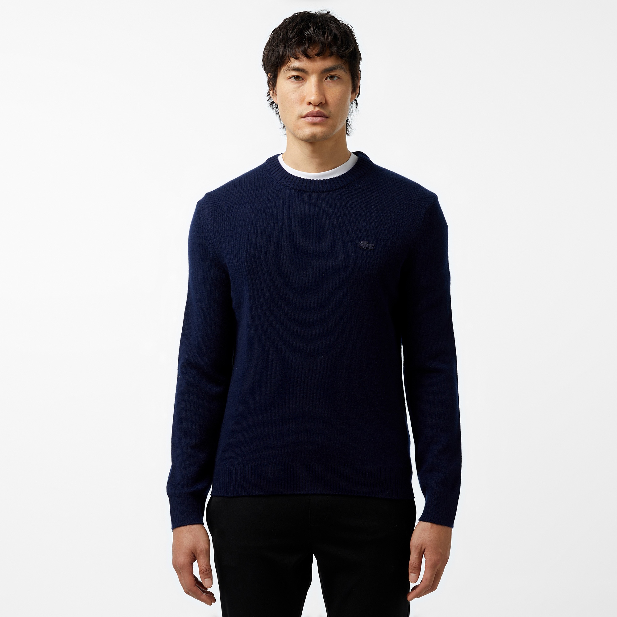 Erkek Regular Fit Bisiklet Yaka Lacivert Triko