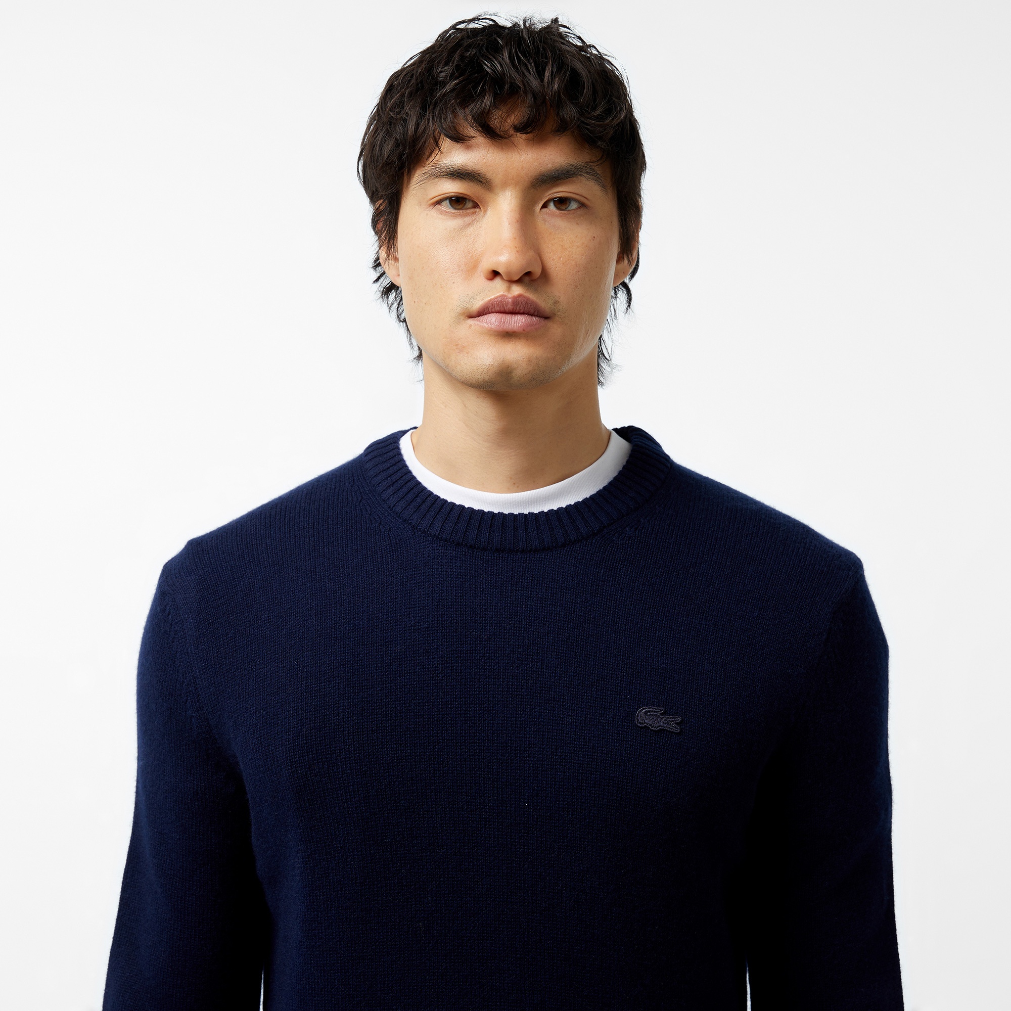 Erkek Regular Fit Bisiklet Yaka Lacivert Triko