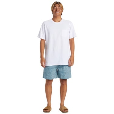  Quiksilver Taxer Erkek Walkshort