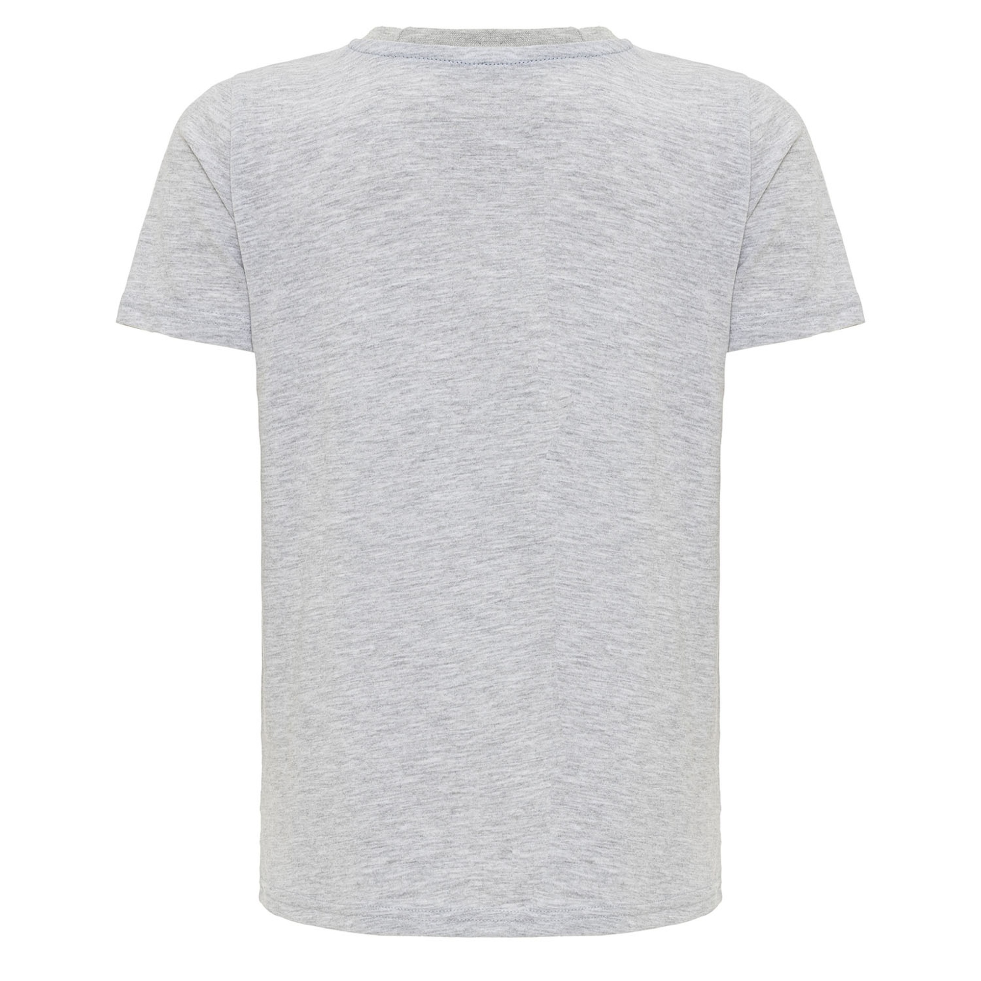 Routefield Truth Kids Erkek Çocuk Gri Tişört