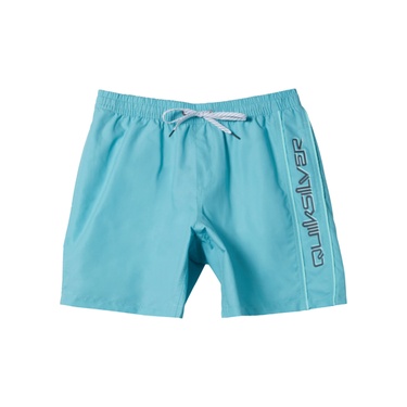  Quiksilver Everyday Vert 16 Erkek Mavi Volley Short