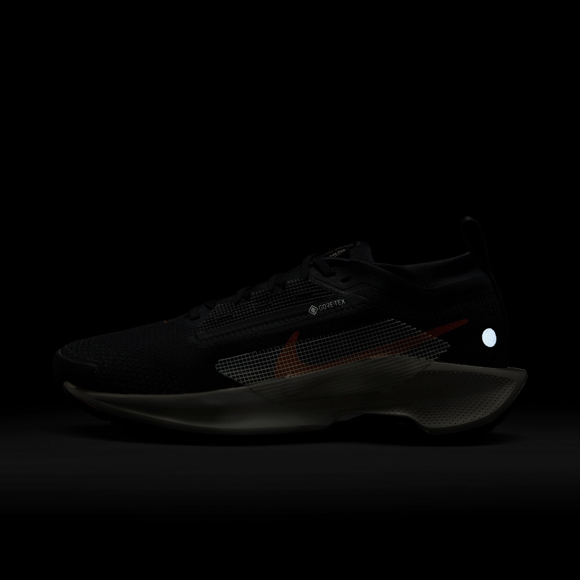 Nike Pegasus Trail 5 Gore-Tex Kadın Siyah Koşu Ayakkabısı