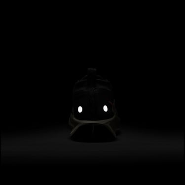  Nike Pegasus Trail 5 Gore-Tex Kadın Siyah Koşu Ayakkabısı