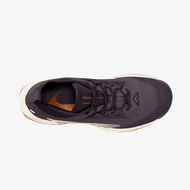  Nike Pegasus Trail 5 Gore-Tex Kadın Siyah Koşu Ayakkabısı