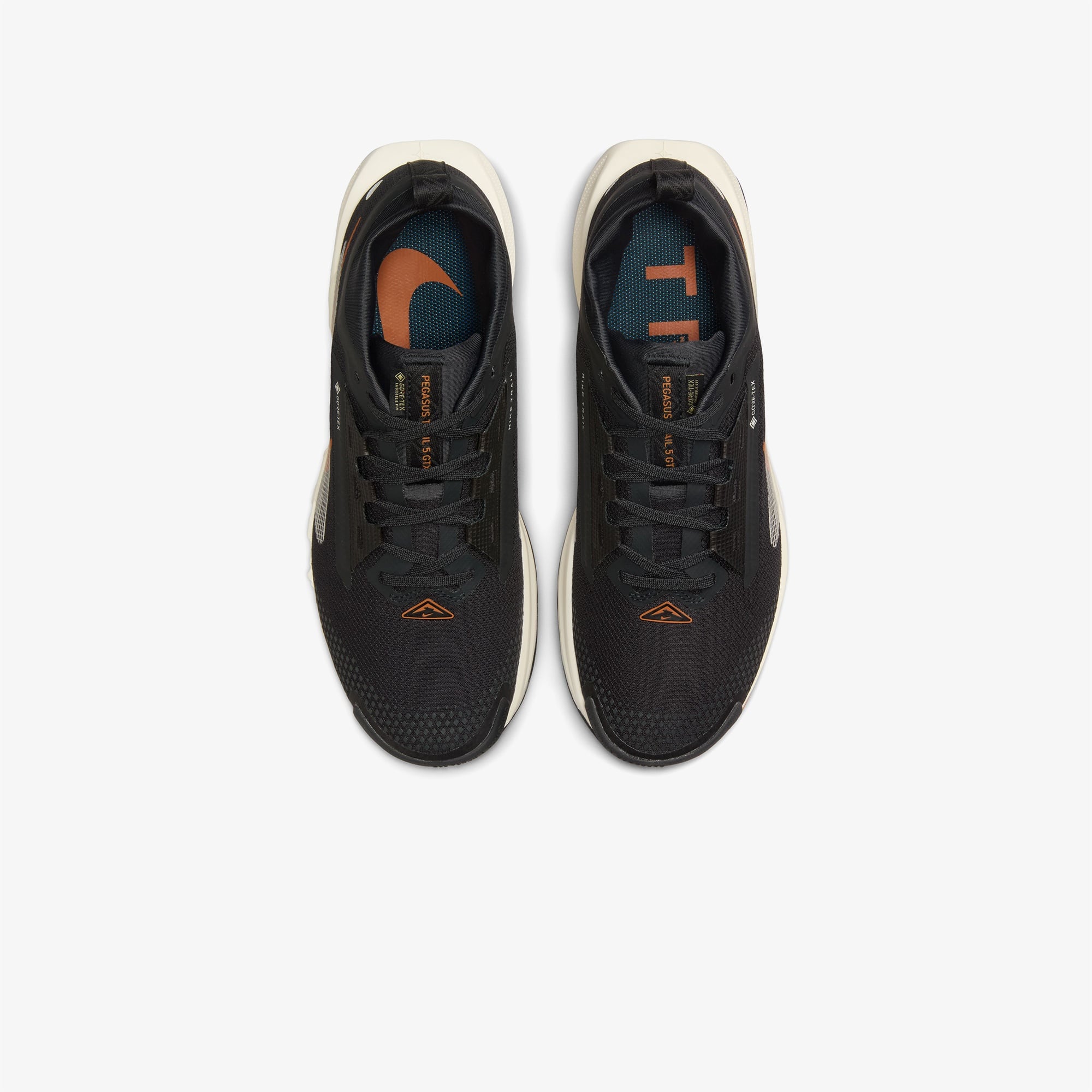 Nike Pegasus Trail 5 Gore-Tex Kadın Siyah Koşu Ayakkabısı