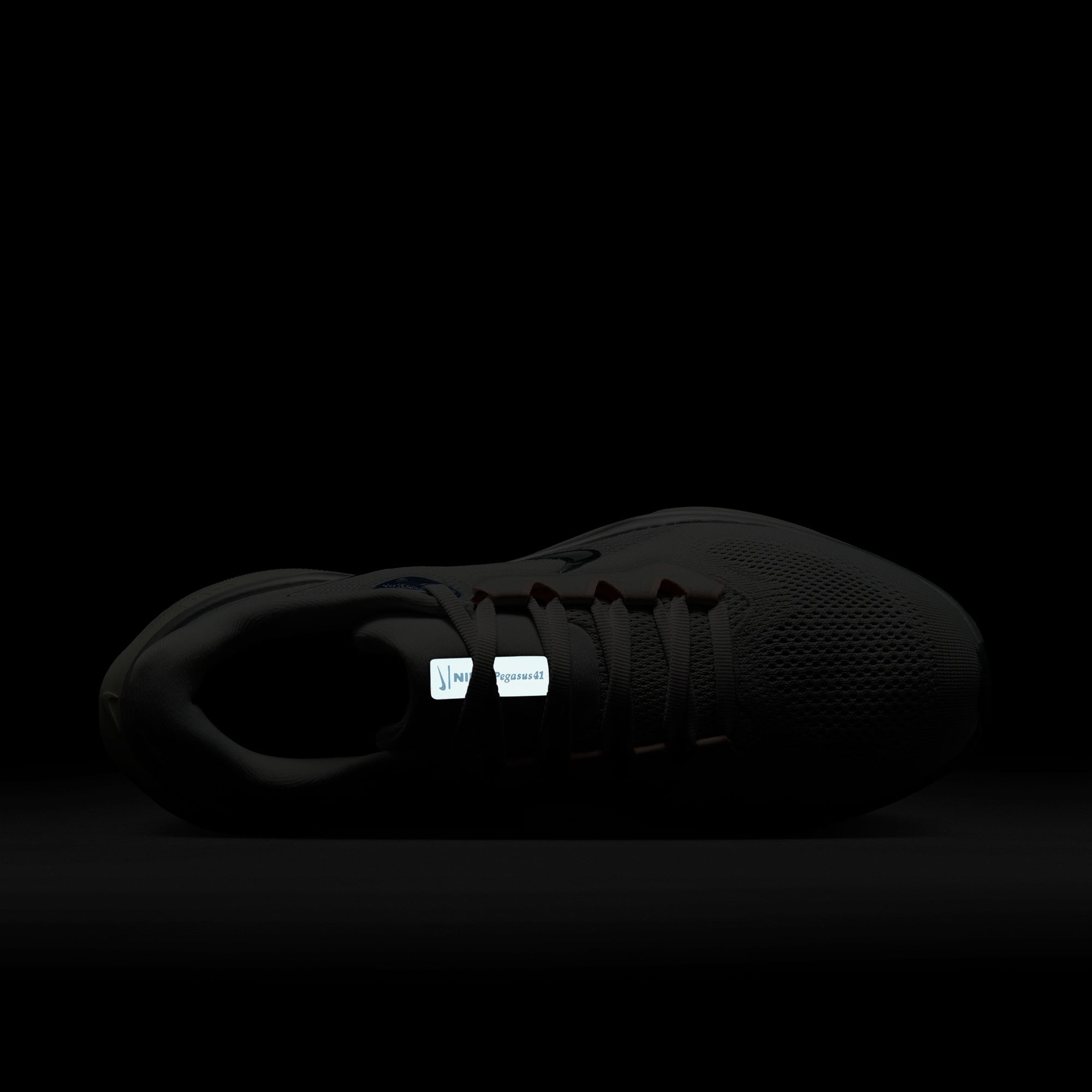 Nike Air Zoom Pegasus 41 Kadın Gri Koşu Ayakkabısı