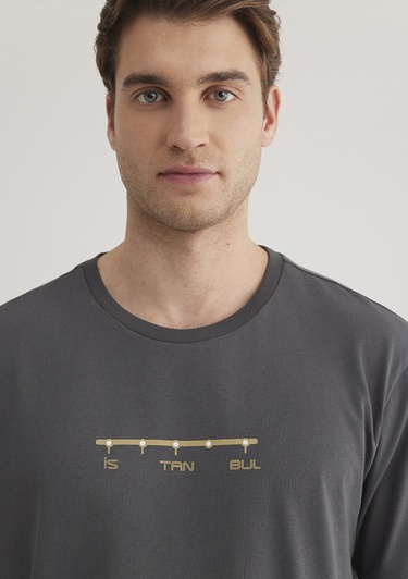  Mavi Antrasit İstanbul Tişört Regular Fit / Normal Kesim 0612452-85309
