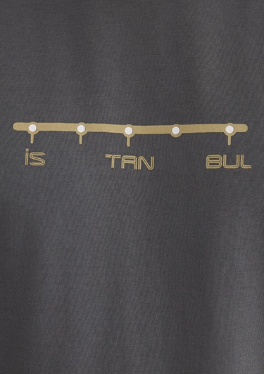  Mavi Antrasit İstanbul Tişört Regular Fit / Normal Kesim 0612452-85309