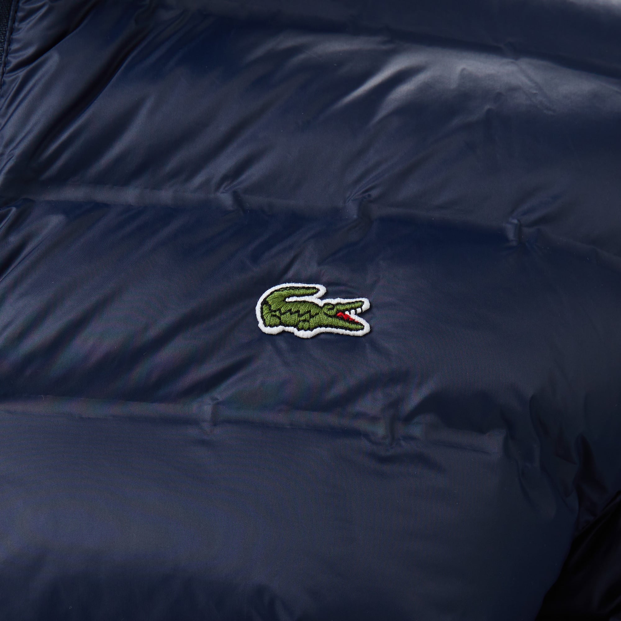 Lacoste Erkek Kapüşonlu Lacivert Mont