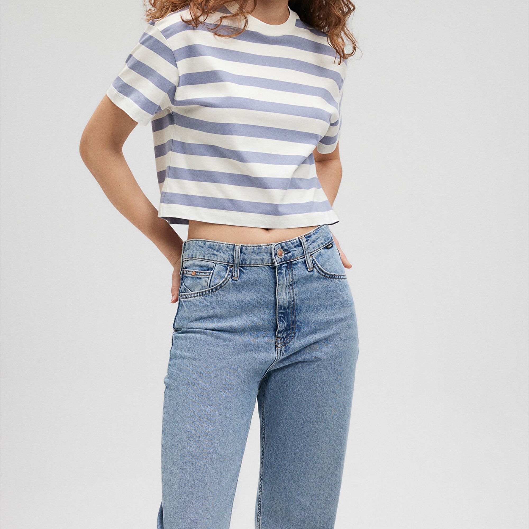 Mavi Lila Çizgili Basic Tişört Regular Fit / Normal Kesim 1610199-86693