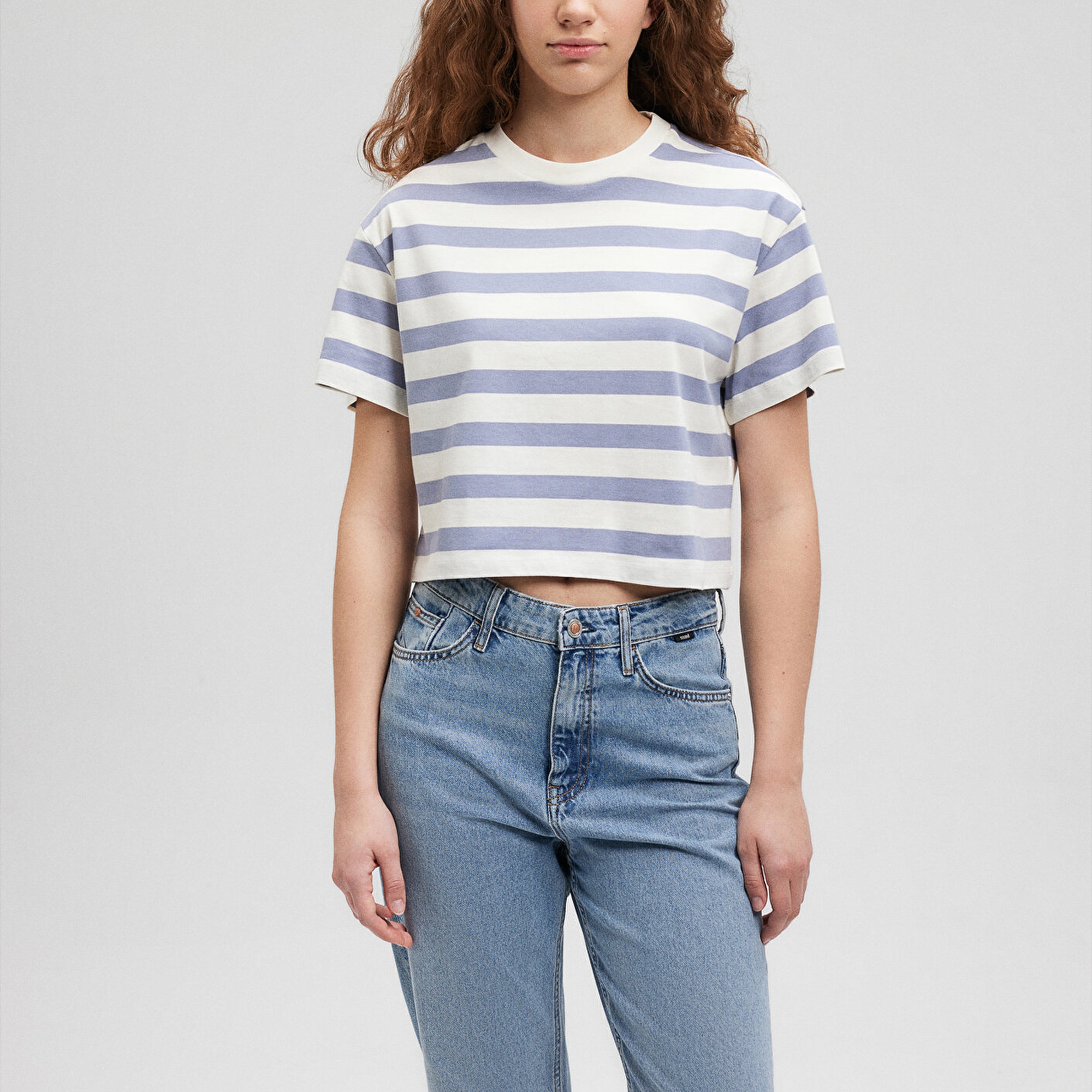 Mavi Lila Çizgili Basic Tişört Regular Fit / Normal Kesim 1610199-86693