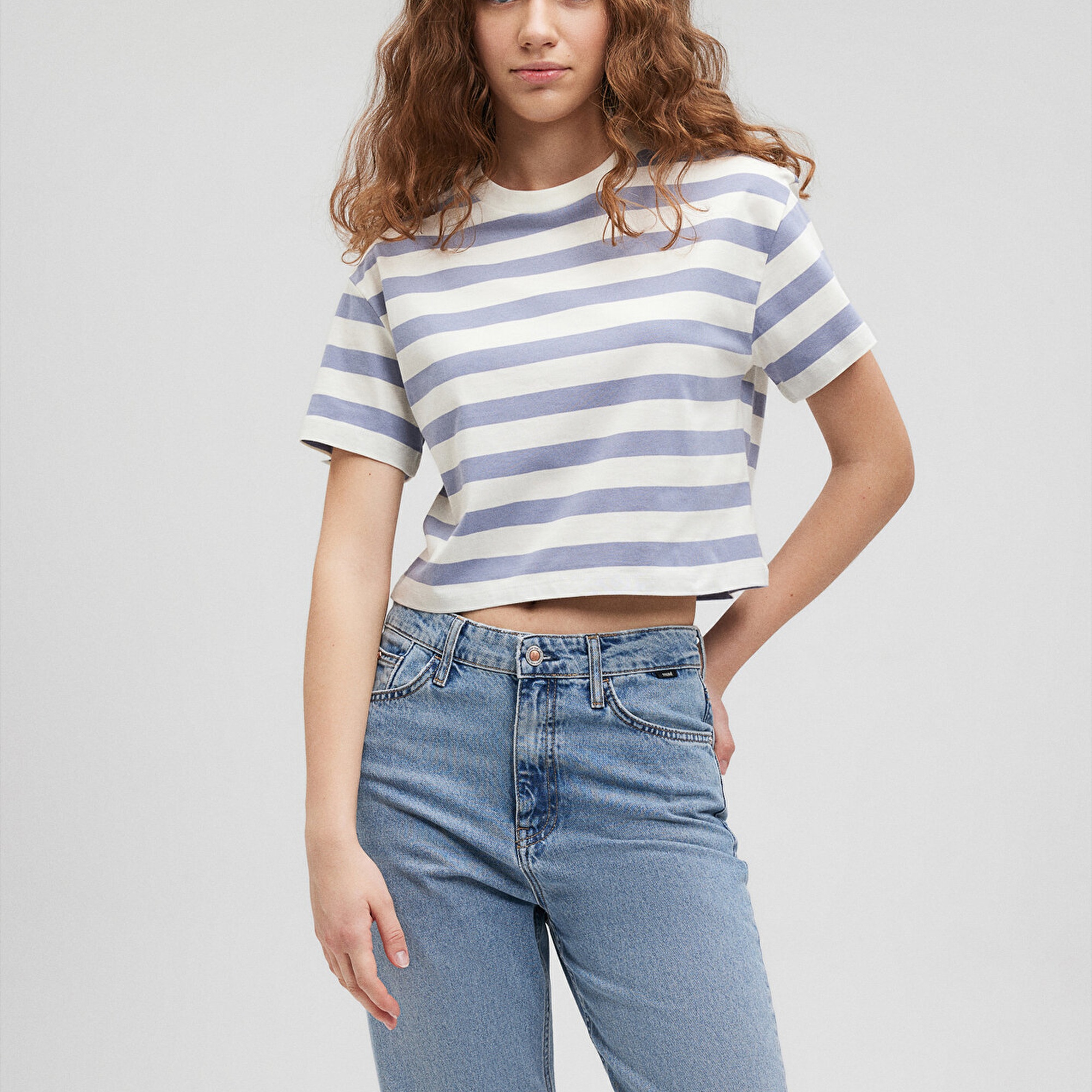 Mavi Lila Çizgili Basic Tişört Regular Fit / Normal Kesim 1610199-86693