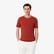 Lacoste Erkek Regular Fit Bisiklet Yaka Beyaz T-Shirt