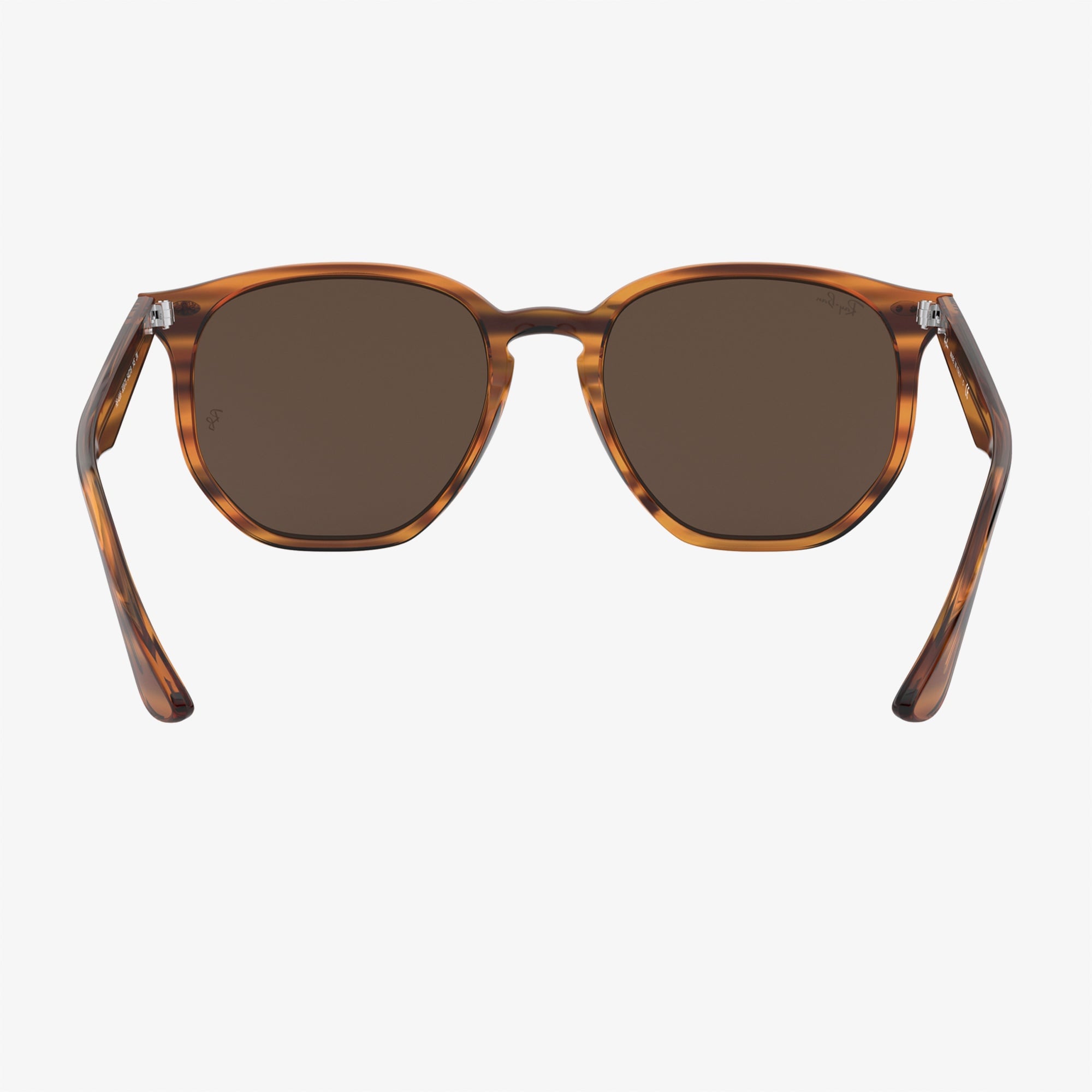 RAY-BAN 0RB4306 Unisex Kahverengi Güneş Gözlüğü