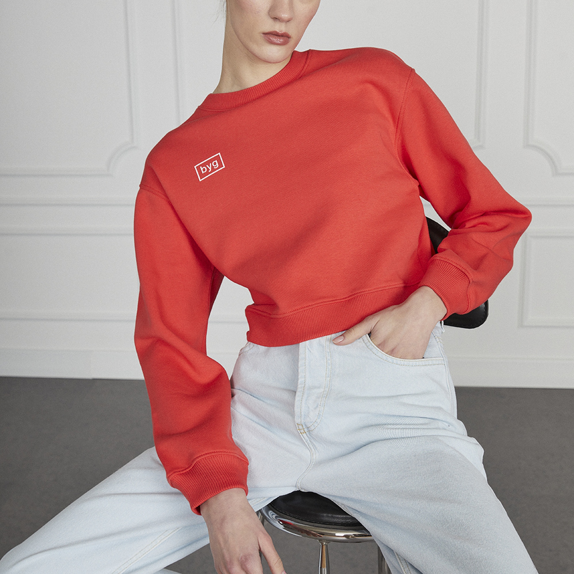 Basic Crop Sweatshirt