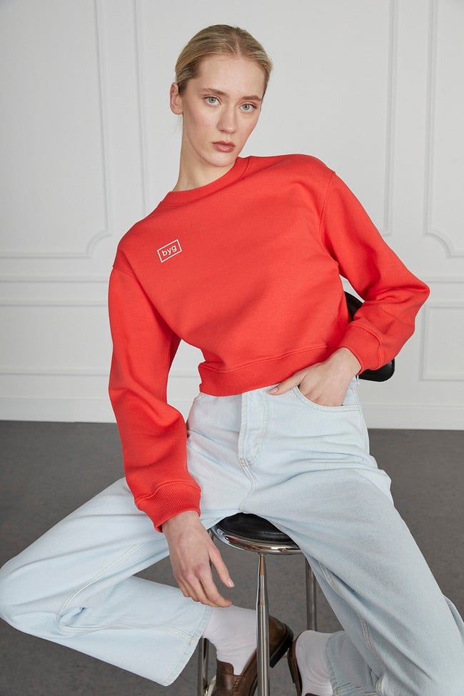  Basic Crop Sweatshirt
