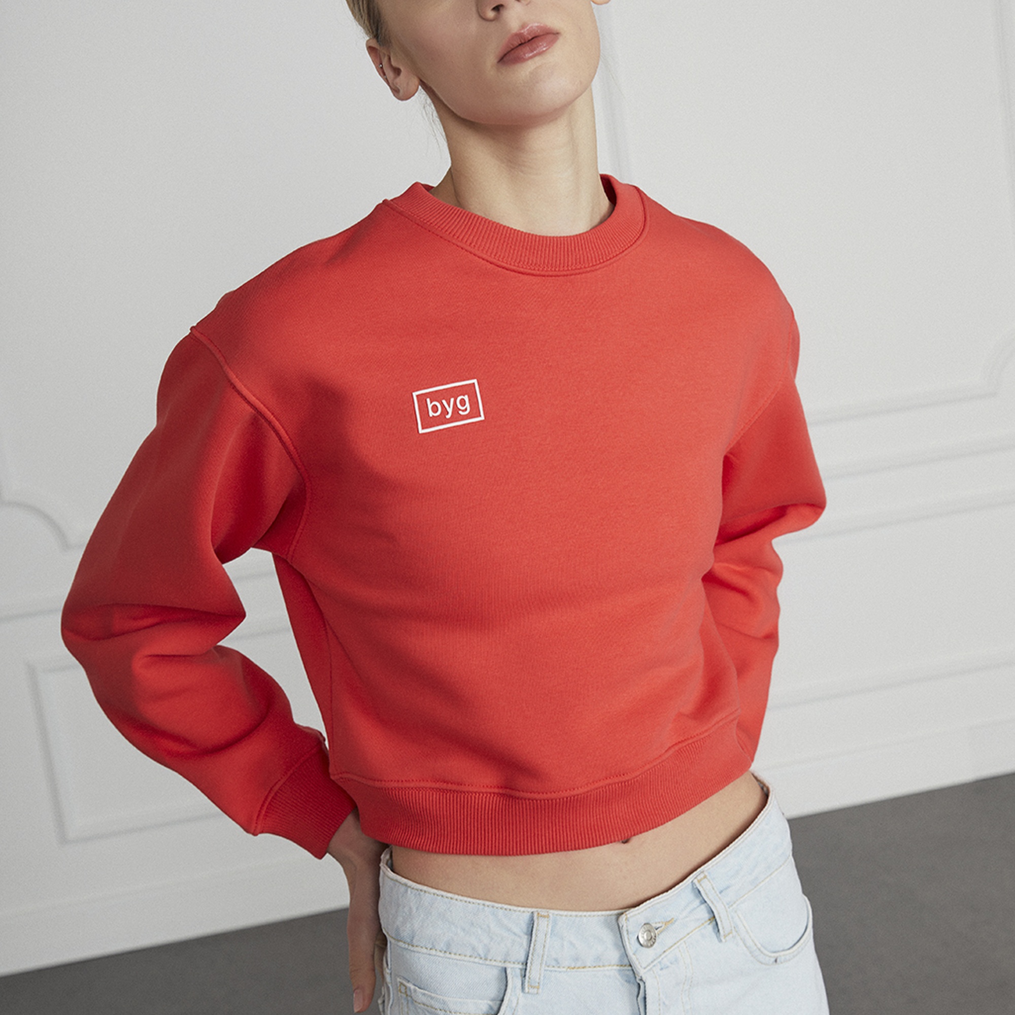 Basic Crop Sweatshirt