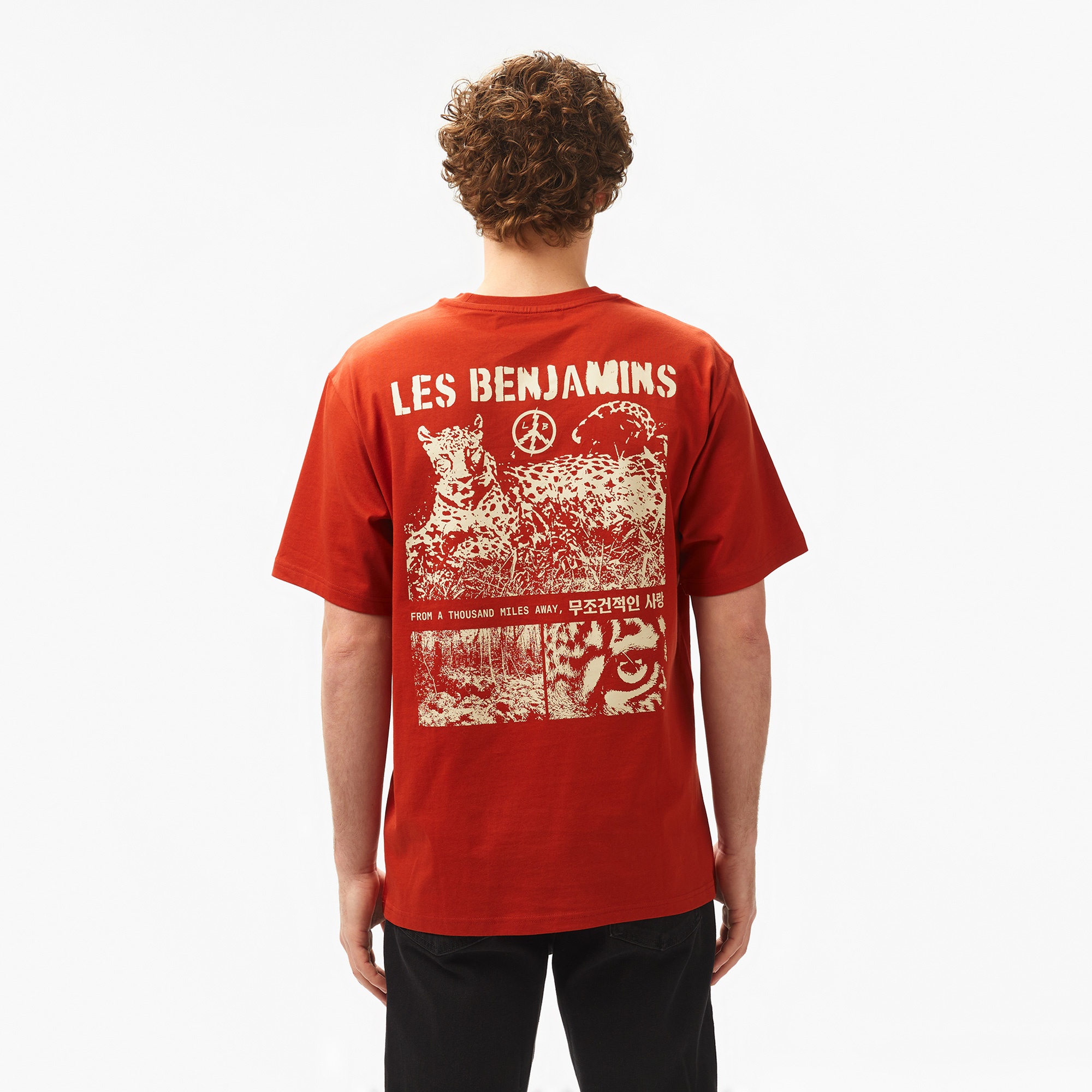 Les Benjamins Relaxed 016 Erkek Bordo T-Shirt
