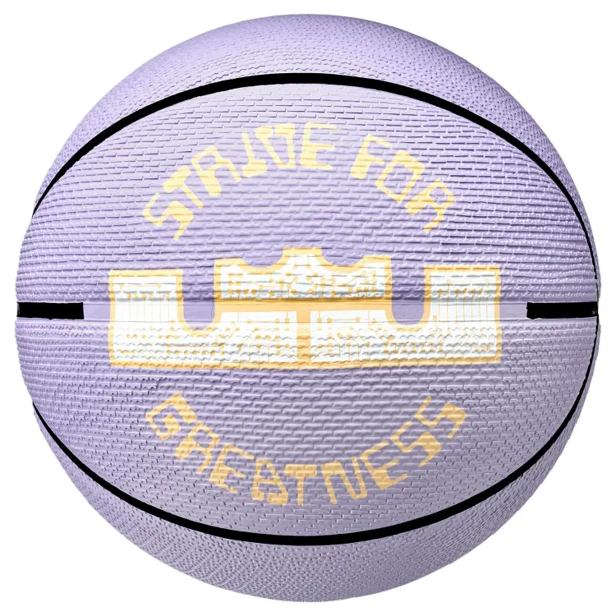 Playground 2.0 8P L. James Deflated Unisex Mor Basketbol Topu N.100.4372.517.07