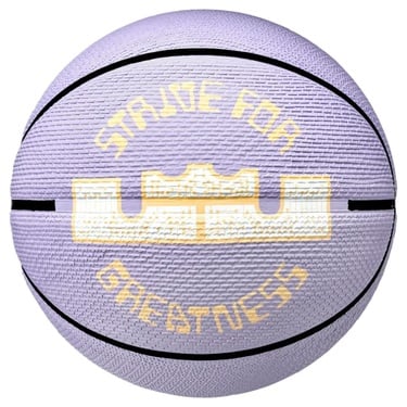  Playground 2.0 8P L. James Deflated Unisex Mor Basketbol Topu N.100.4372.517.07