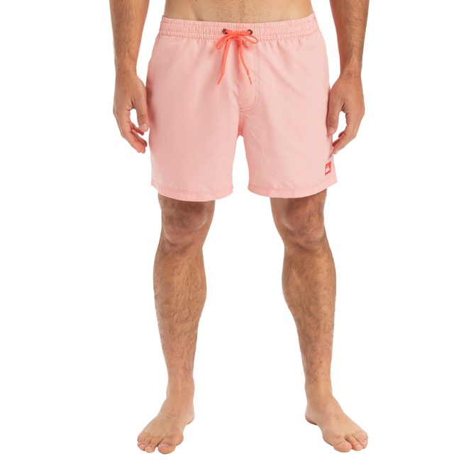  Quiksilver Everyday Deluxe 15 Erkek Volley Short