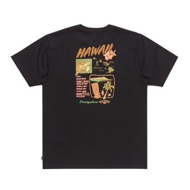  Billabong Dreamy Place Ss Erkek Siyah Tişört