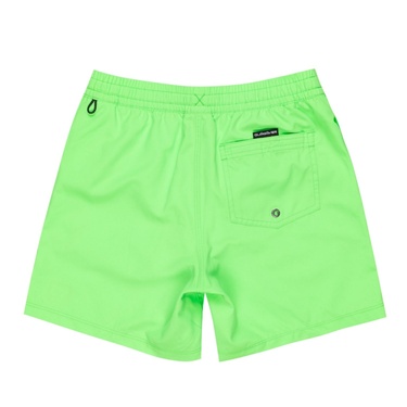  Quiksilver Everyday Solid Volley Yth 14 Erkek Çocuk Yeşil Volley Short