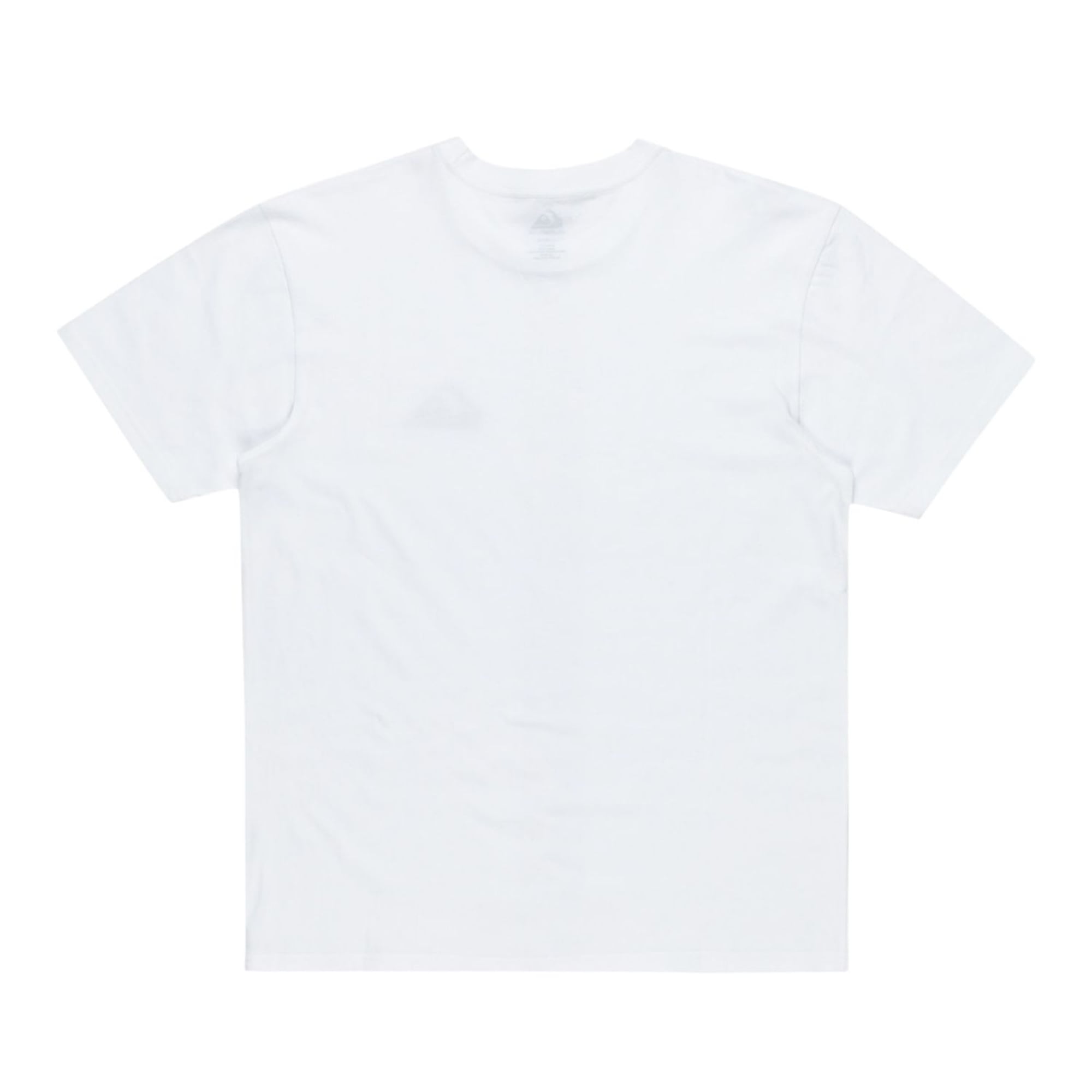 Quiksilver Ev Mini Logo Erkek Beyaz Tişört