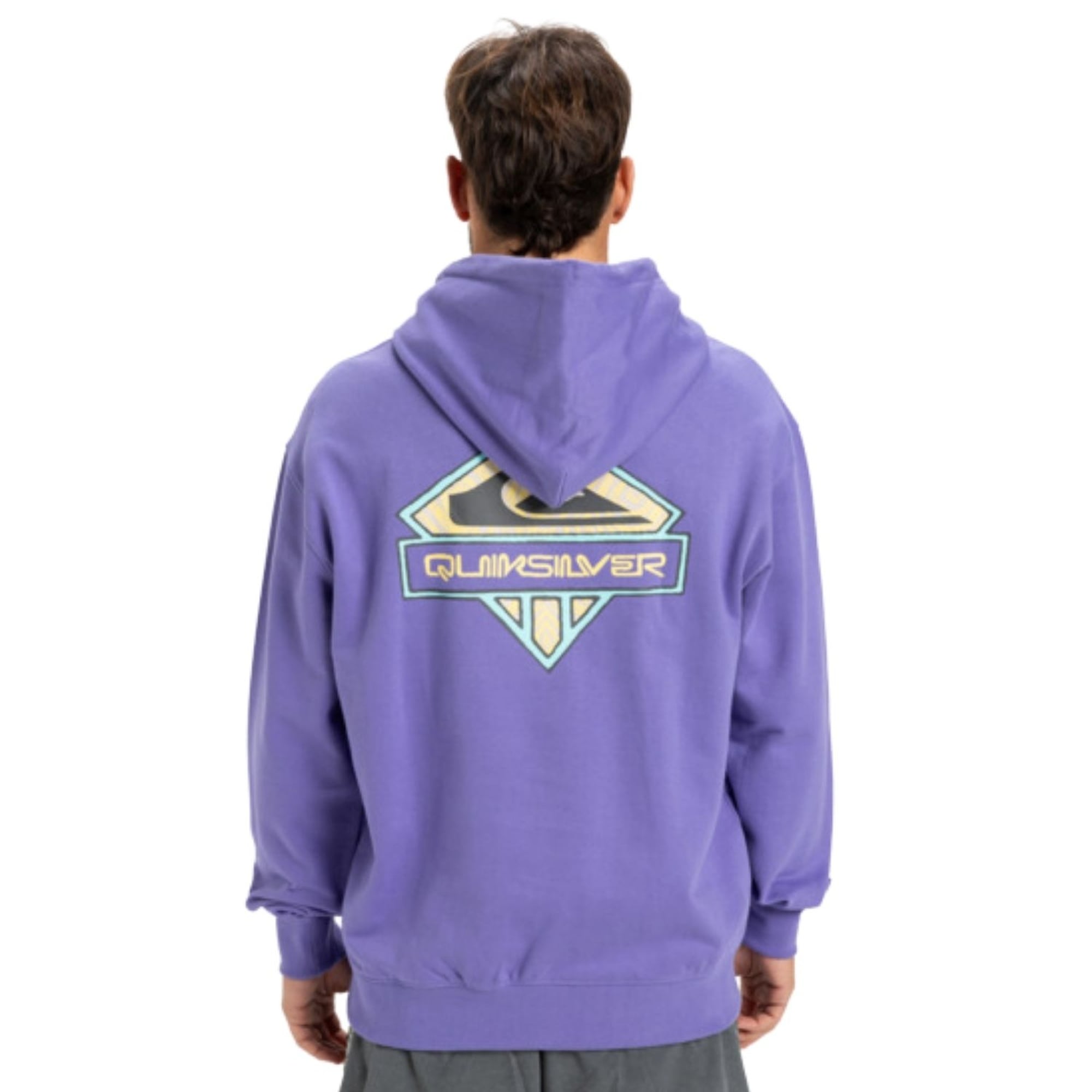 Quiksilver Apog Heritage Hoodie Erkek Mor Sweatshirt