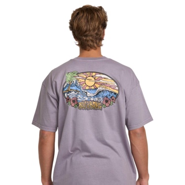  Billabong Hi Tide Og Ww Ss Erkek Mor Tişört