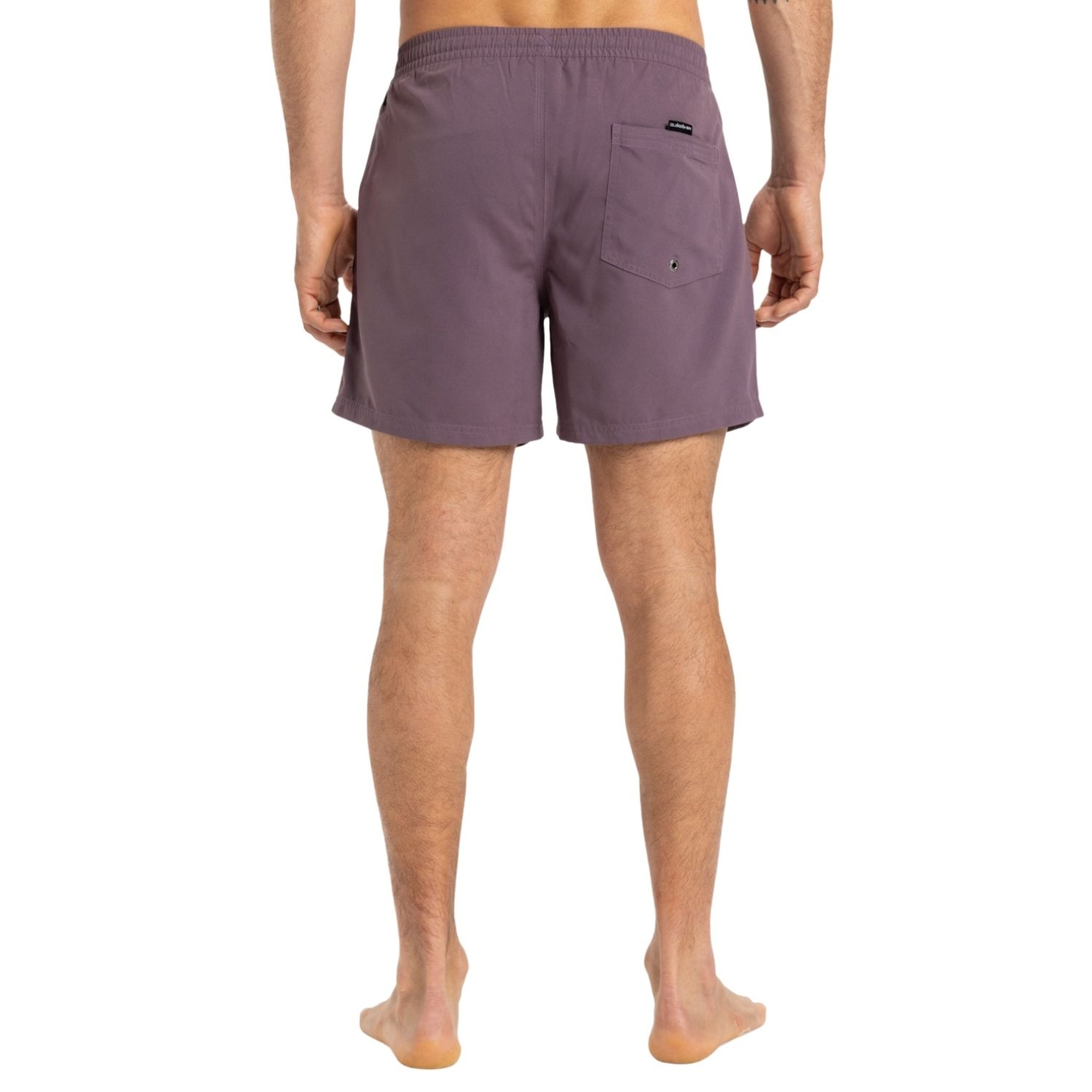 Quiksilver Everyday Solid 15 Erkek Mor Volley Short