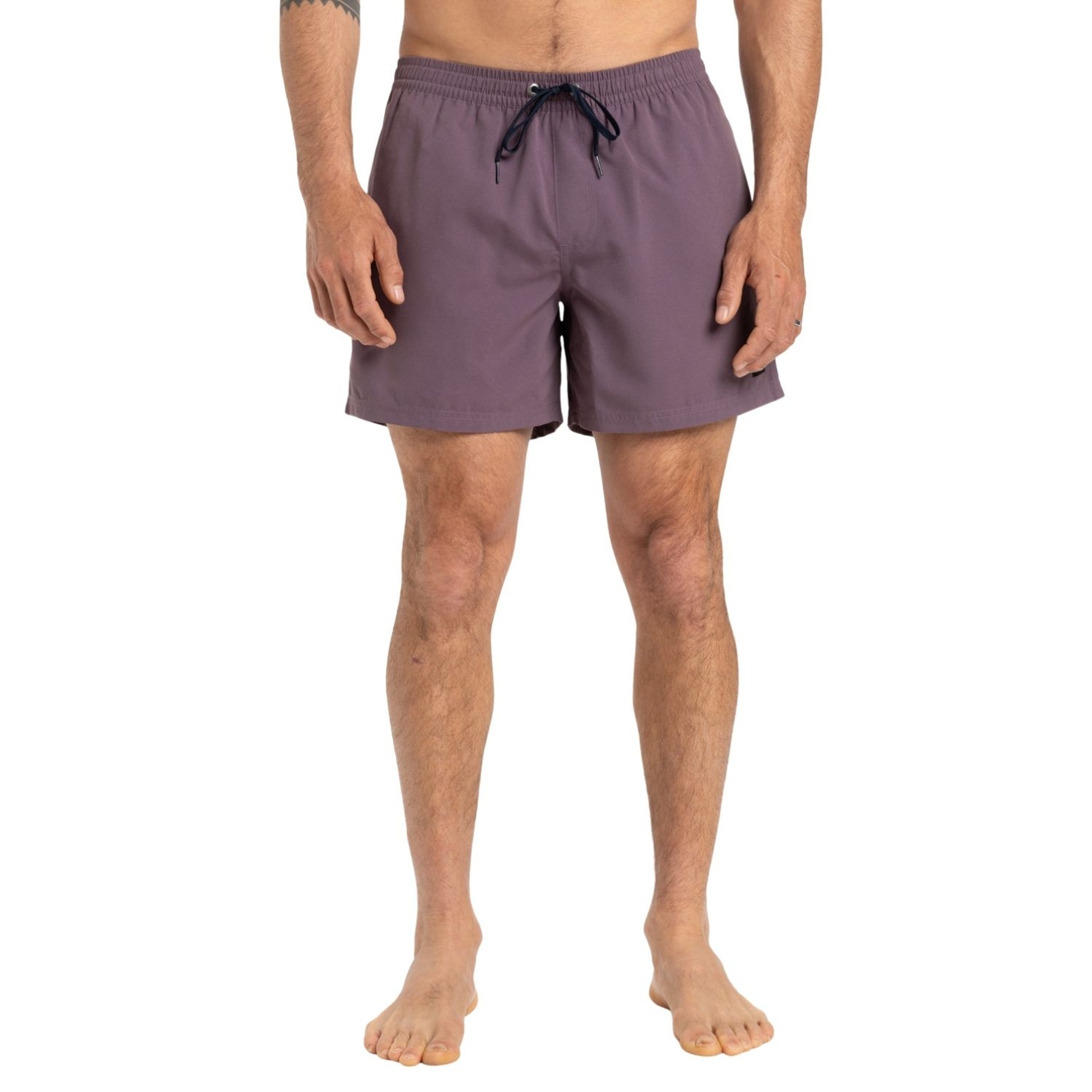 Quiksilver Everyday Solid 15 Erkek Mor Volley Short
