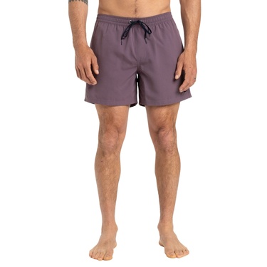  Quiksilver Everyday Solid 15 Erkek Mor Volley Short
