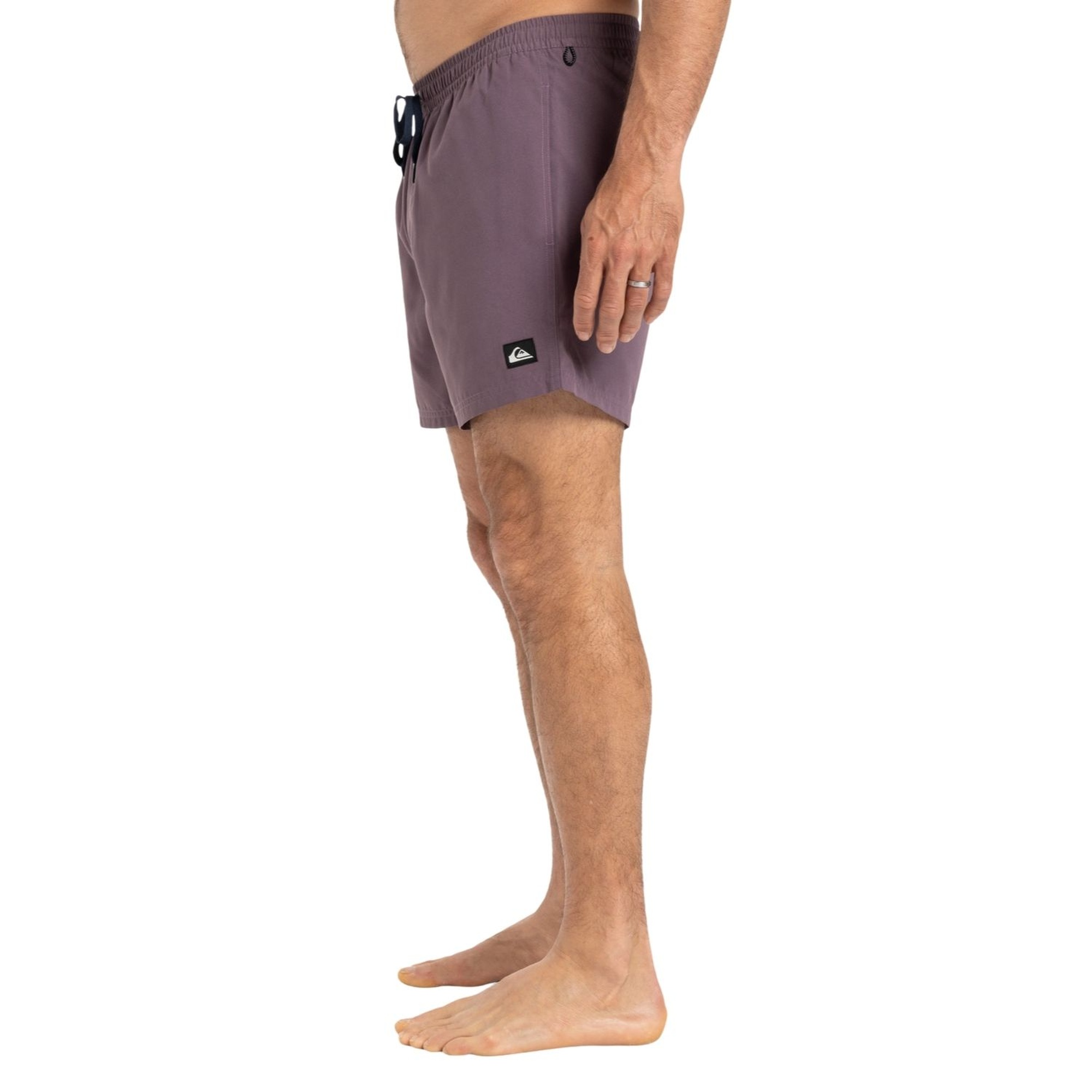 Quiksilver Everyday Solid 15 Erkek Mor Volley Short