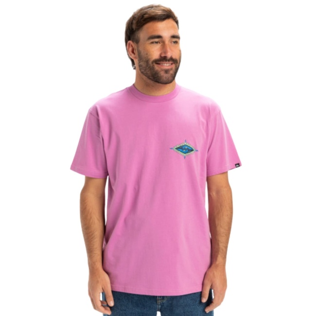  Quiksilver Ev Beach Blast Erkek Mor Tişört