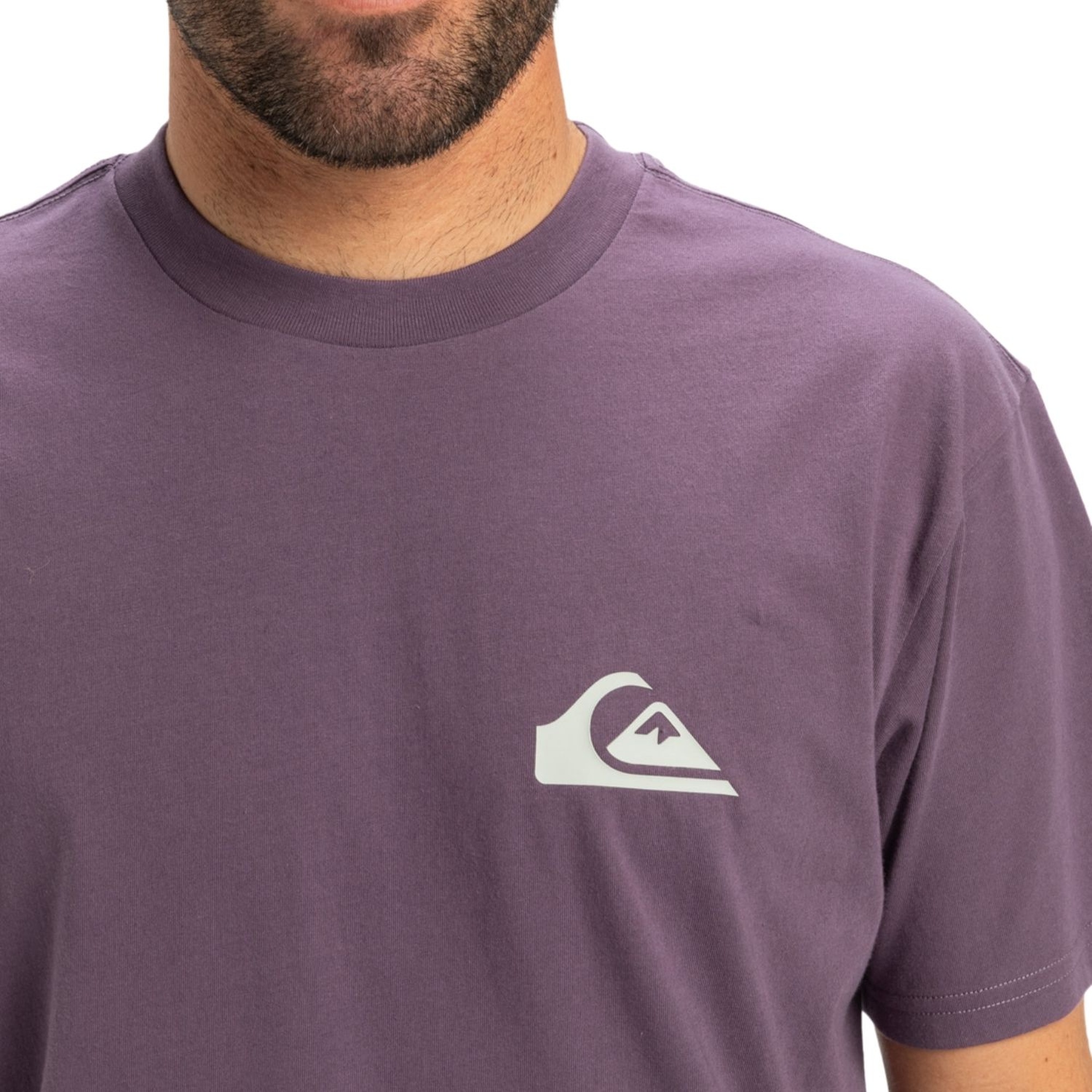 Quiksilver Ev Mini Logo Erkek Mor Tişört