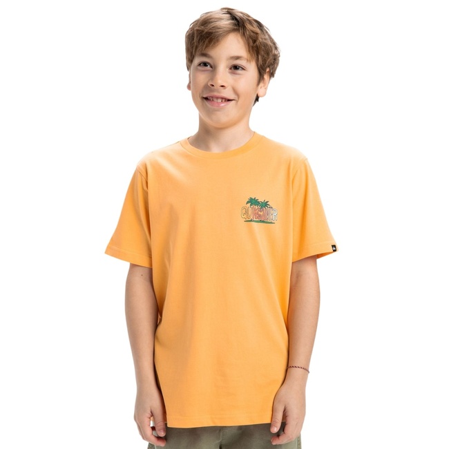  Quiksilver Ev Sunny Palms Yth Erkek Çocuk Sarı Tişört