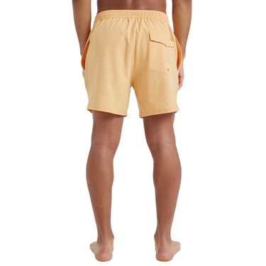 Quiksilver Surfsilk Solid 16 Erkek Sarı Volley Short