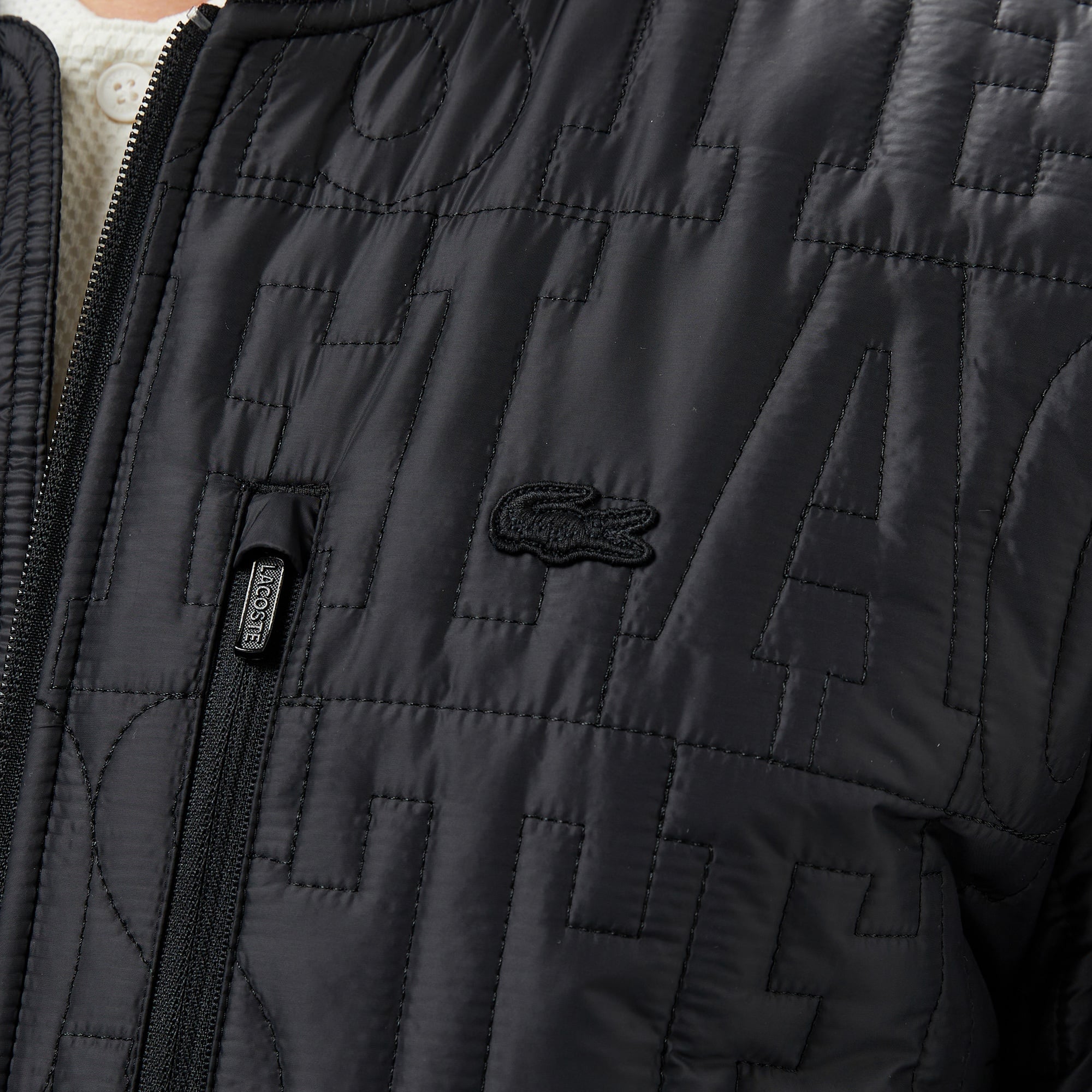 Erkek Regular Fit Dik Yaka Kapitone Siyah Mont