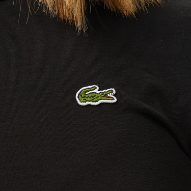  Lacoste Kadın Slim Fit Bisiklet Yaka Siyah T-Shirt