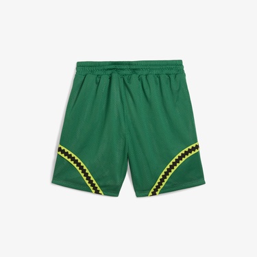  Puma Hoops X Tmnt Erkek Pembe/Yeşil Şort