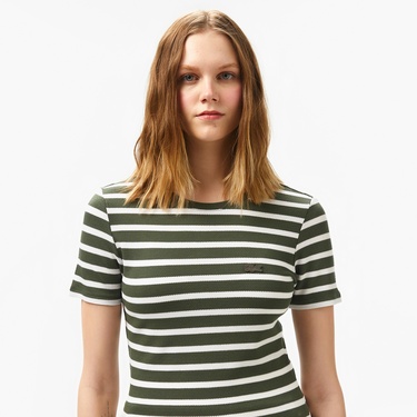  Lacoste Kadın Slim Fit Bisiklet Yaka Çizgili Koyu Yeşil T-Shirt