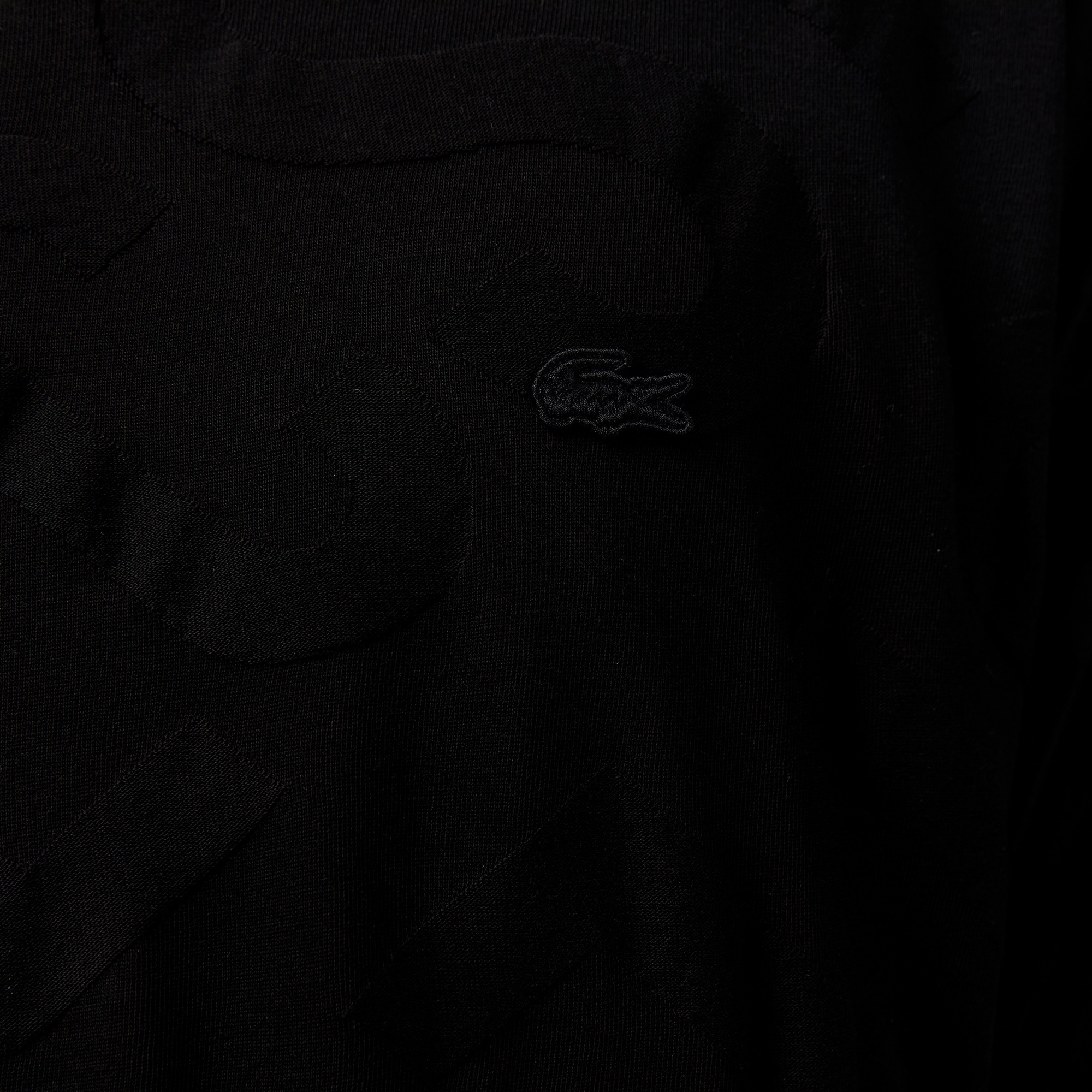 Lacoste Erkek Bisiklet Yaka Desenli Siyah T-Shirt