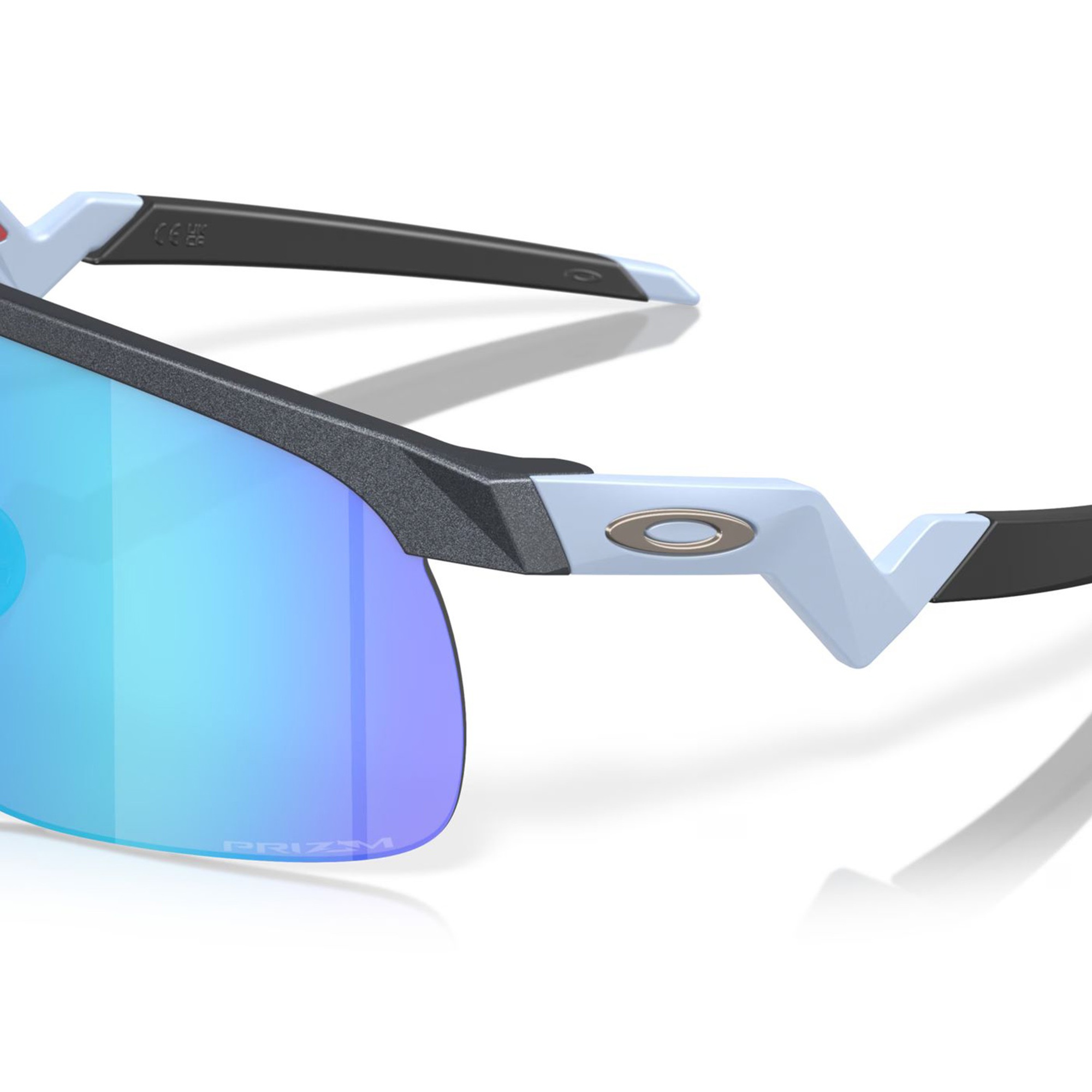 Oakley Resistor Erkek Gözlük