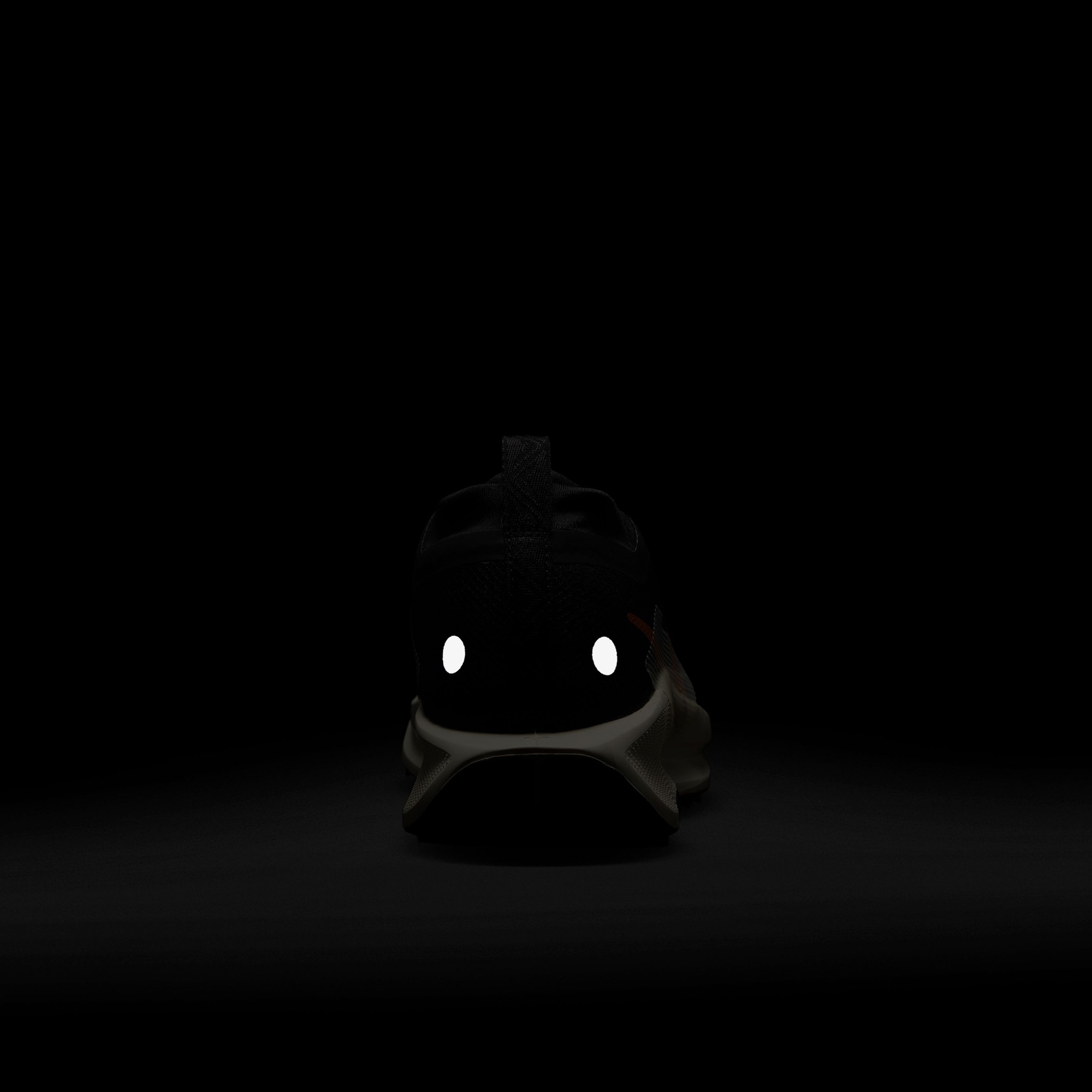 Nike Pegasus Trail 5 GORE-TEX Erkek Siyah Koşu Ayakkabısı